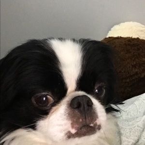 Meet your Posher, Summer